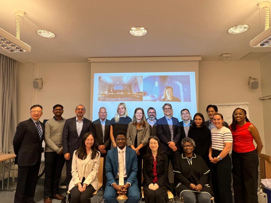 The Lancet Series Research Consortium